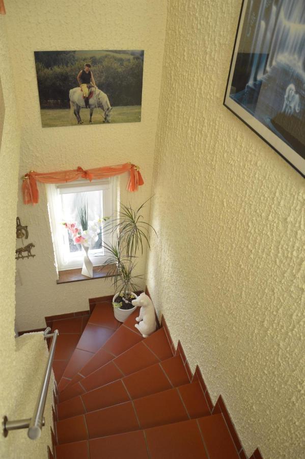 Ferienwohnung Auszeit Waxweiler מראה חיצוני תמונה